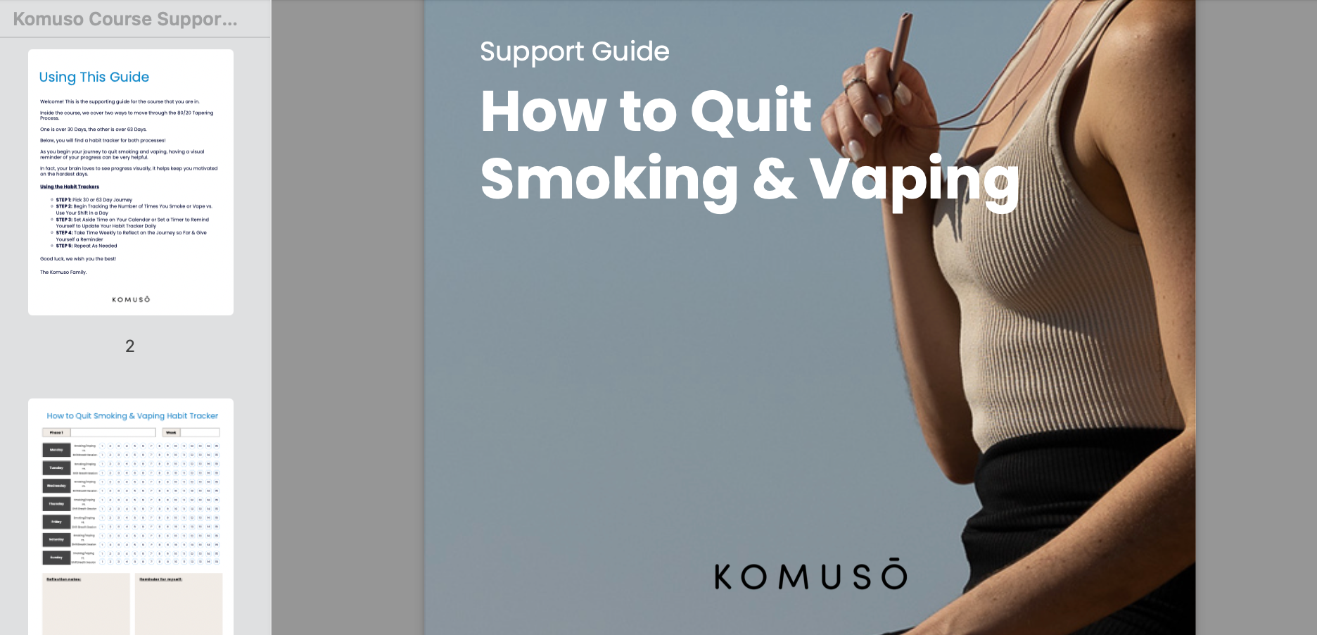 Quit Vaping and Smoking Course